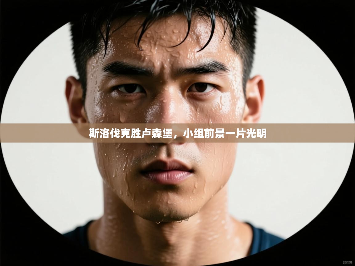 斯洛伐克胜卢森堡，小组前景一片光明  第1张